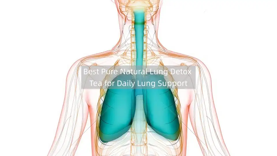 Best Pure Natural Lung Detox Tea for Daily Lung Support